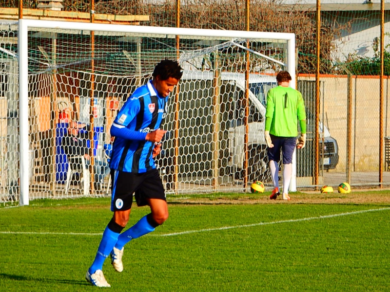 Arma Gol