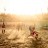 JAR_202778_11zon