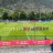 PisaProVercelli