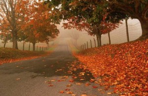 foto_autunno_358