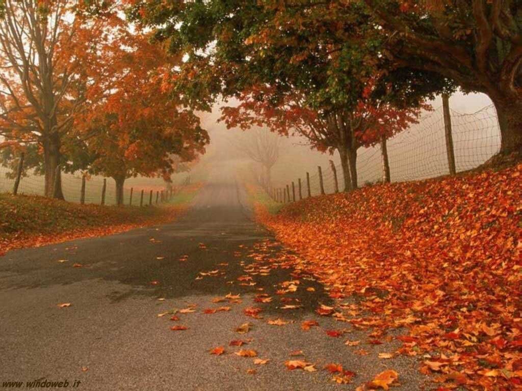 foto_autunno_358