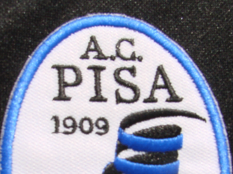 Logo Pisa