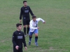 16-bollino