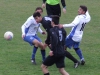 18-bollino-e-favasuli